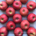 A Grade Fresh Red FUJI Apple